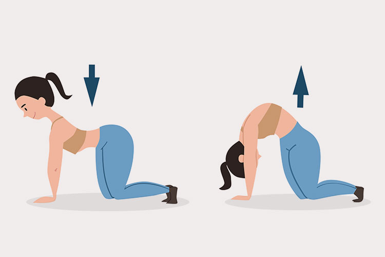 Pilates para dores nas costas: como aliviar a dor lombar e melhorar a postura